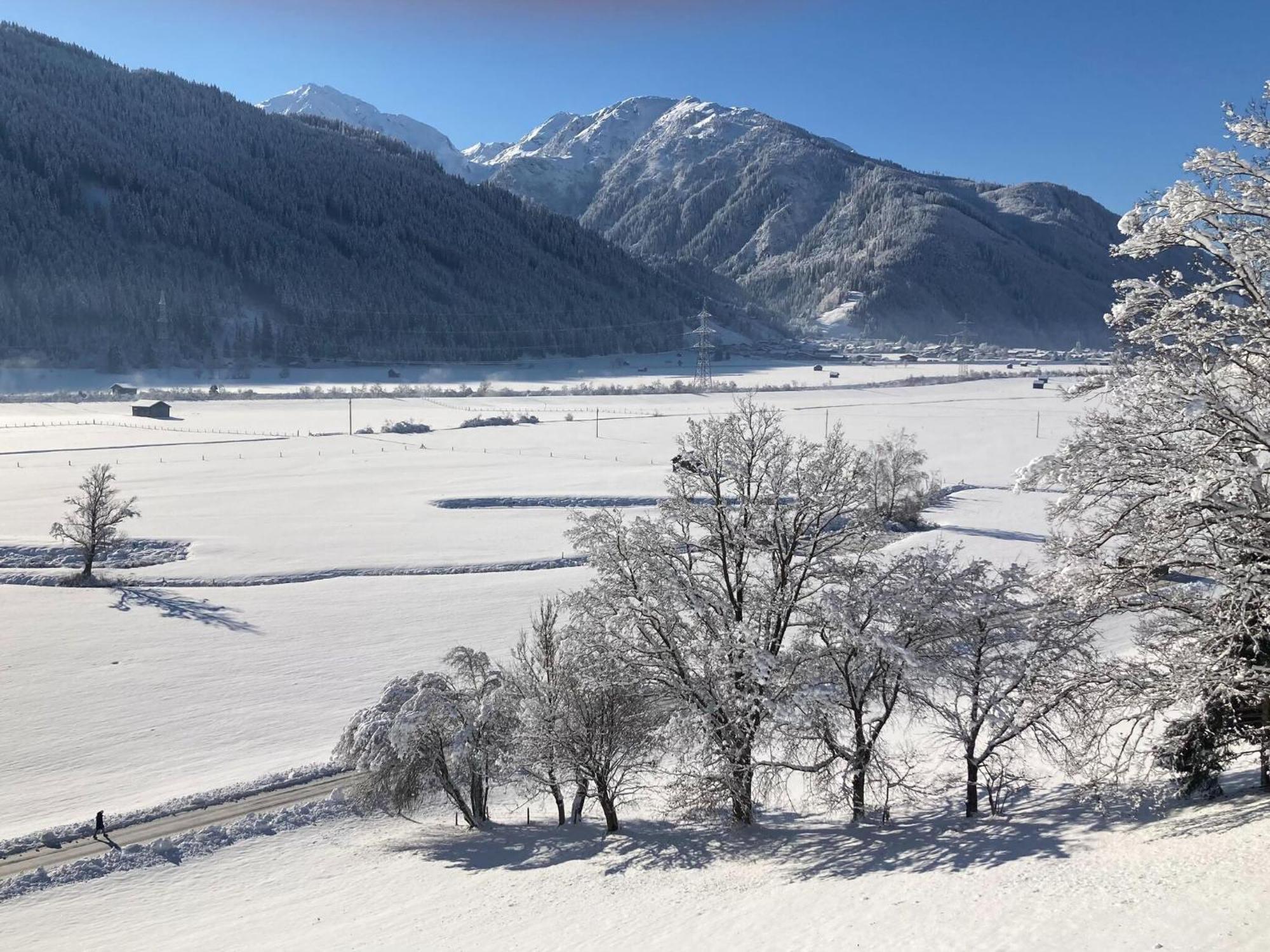Holiday Apartment In Pinzgau With A Large Terrace 미테르질 외부 사진